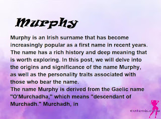 meaning of the name "Murphy"