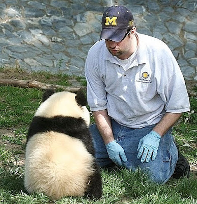 絕對銷魂小背影 小動物