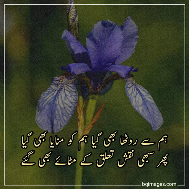 urdu shayari dp pic