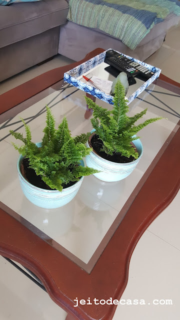 verde-na-decoração-plantas