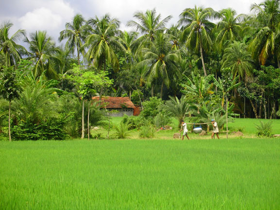 Natural Beauty of Bangladesh