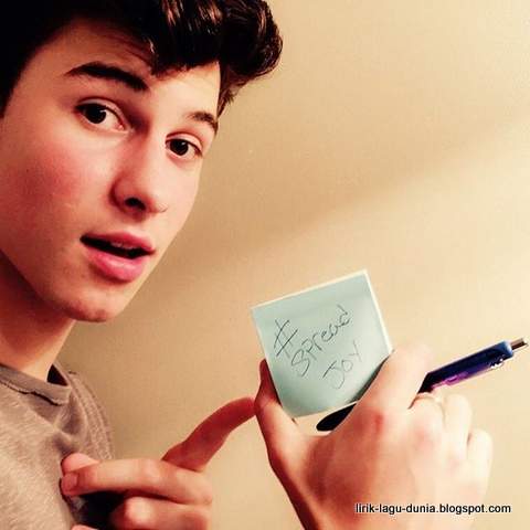 Lirik Lagu Treat You Better - Shawn Mendes