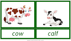 Animals and their babies -- cow - calf -- printable flashcards