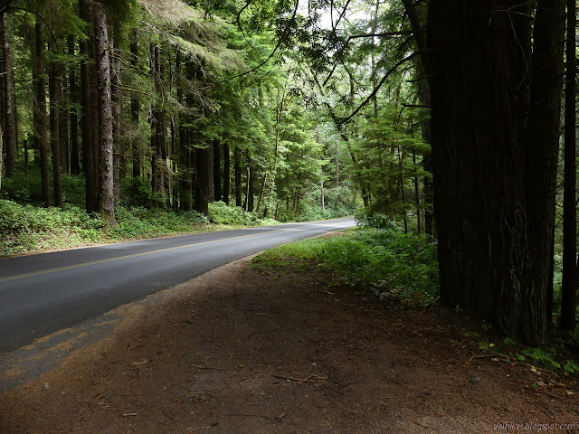 fine, newly paved road