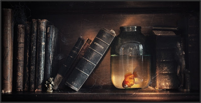 Dust... (Пыль...) by Vladimir Shipulin Dust... (Пыль...) by Vladimir Shipulin