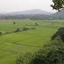 Virudhunagar, 1000 Acres, Agricultural Land / Plot for Sale, Thoppilakarai Village, Aruppukottai Taluka, Virudhunagar, Maharashtra.