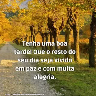 Mensagens de Bom Dia Boa Tarde e Boa Noite