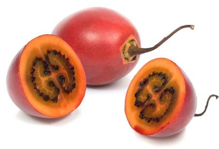 TAMARILLO