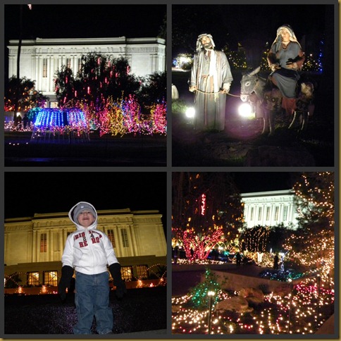Temple Lights2010