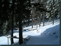 DSCN1708