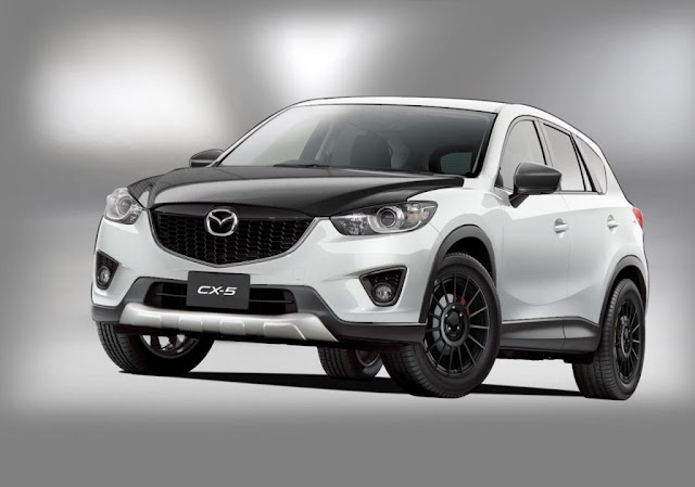 2013 Mazda CX-5 Active Driver