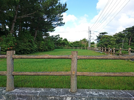 モーシヌ森公園の写真