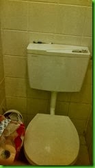 IMG_00002901