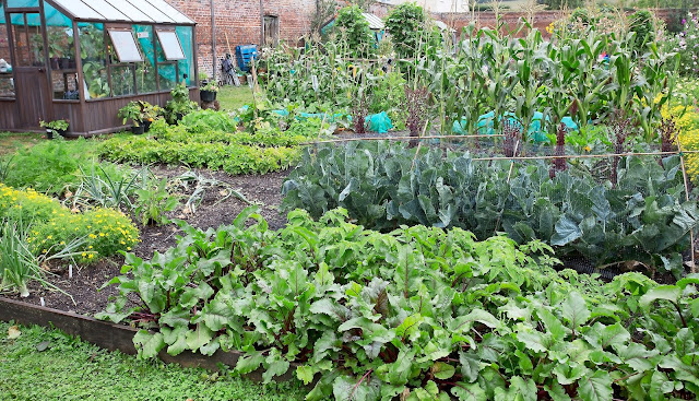 Garden at home