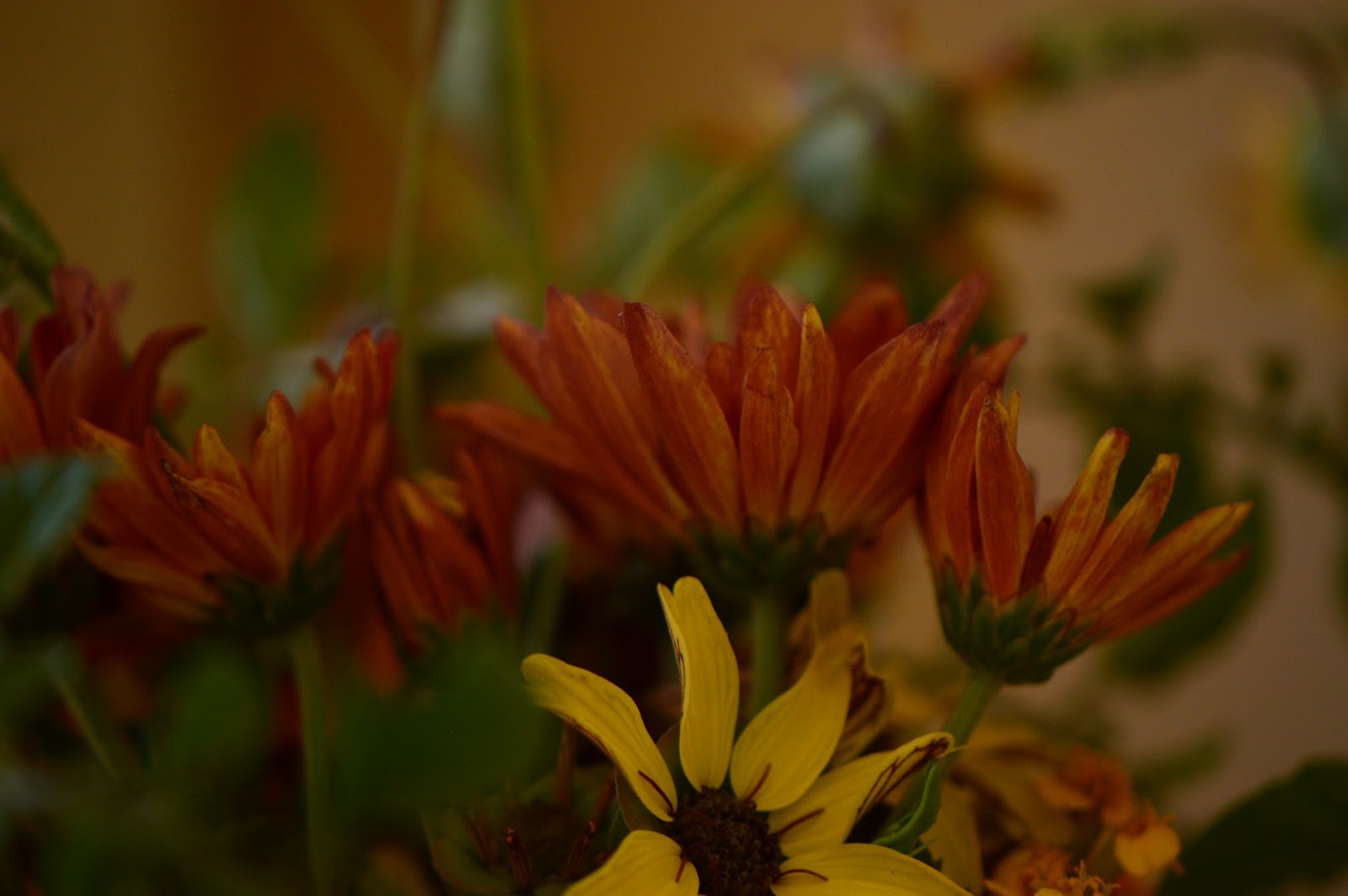 A Small Sunny Garden In A Vase Sunshine In A Vase