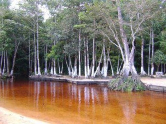 Igarapé do Sonrisal - Colares, Parà