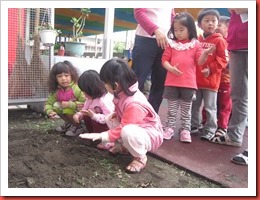 1020424蔬菜 070