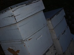 P5053257