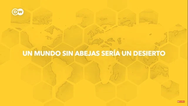 Prevenir la extinción mundial de abejas | DW Documental