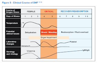 Clinical Course of Dengue Fever