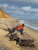 Trees from Easton Woods succumbing to the sea