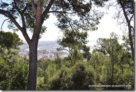 04-Vistas desde el Castillo de Bellver -DSC_0170