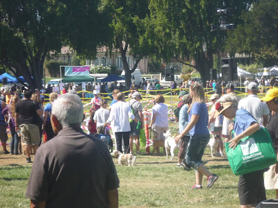 Freckles the Dog Bark In The Park