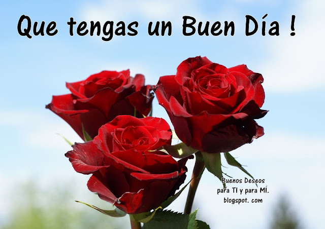 Que tengas un Buen Día !  (3 Rosas rojas)