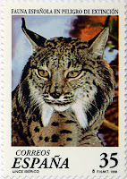 LINCE IBÉRICO