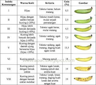 indeks kematangan buah pisang