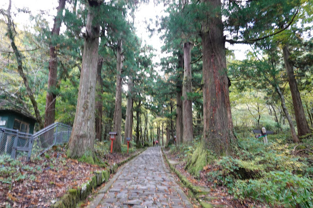 鳥取県西伯郡大山町大山　大神山神社奥宮参道の石畳