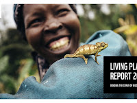 The World Wildlife Fund (WWF) Living Report 2020.