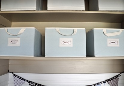 Blu Baskets