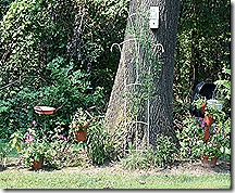 Aug_2011