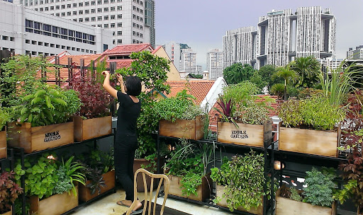Ide Urban Farming di Rumah 