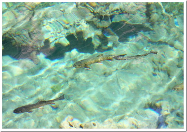Hanging Lake 7-18-11 (90)