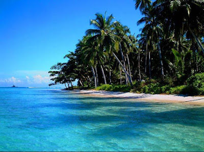 Deretan pohon kelapa di pinggir Pantai Senggigi