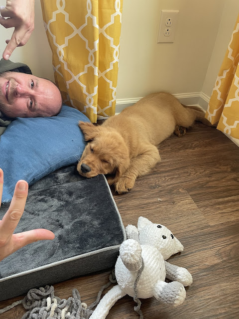 Itty bitty Miles laying down in the corner of my bedroom where my two windows meet with Dad laying down on the Miles dog bed just chillin' with the puppy.