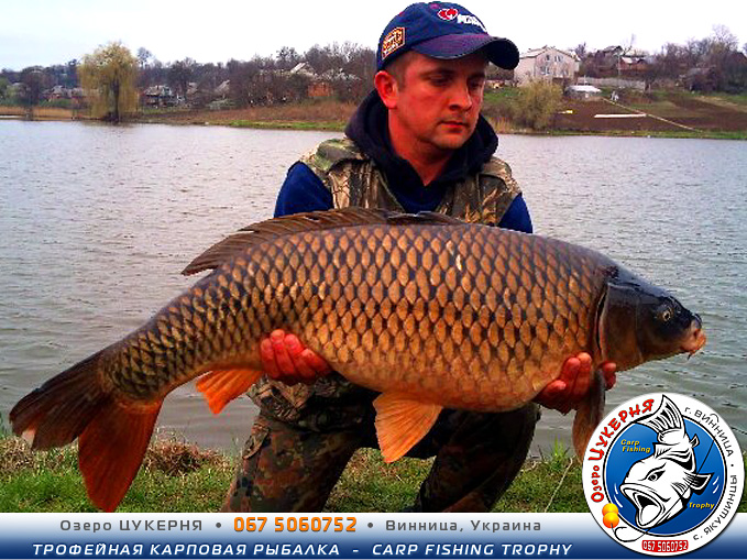 Озеро ЦУКЕРНЯ • Винница • Трофейная карповая рыбалка • Carp Fishing Trophy