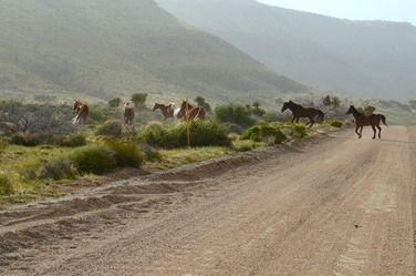 The Mojave_190