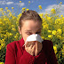 Reasonable Approaches to Look for Allergy Relief