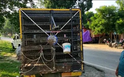 Bird Seller Looted By Unknown People As Called For Purchasing Birds