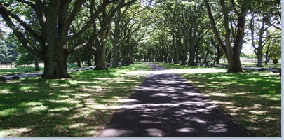 Cornwall Park 0209 001