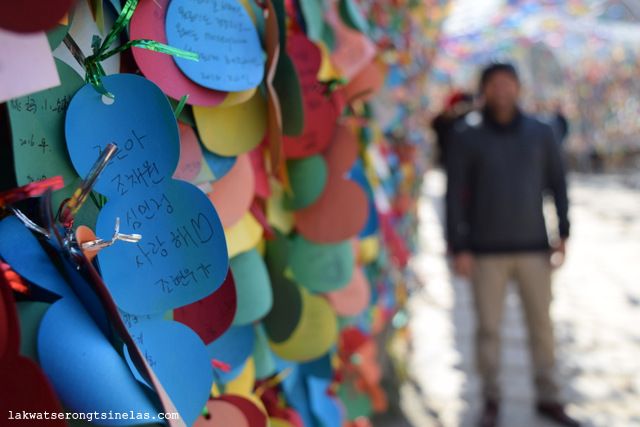 WINTER SONATA AT NAMI ISLAND