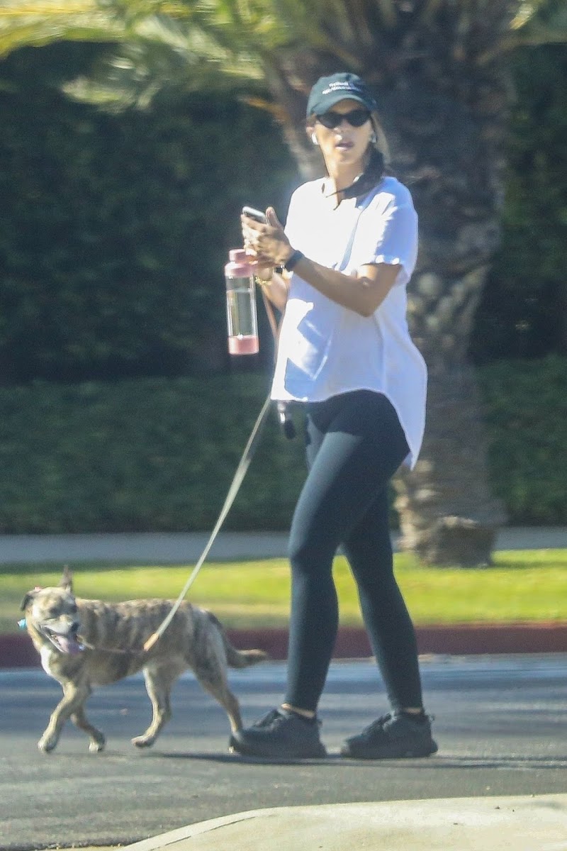 Pregnant Katherine Schwarzenegger Outside with Her Dogs in Los Angeles 12 Jul -2020