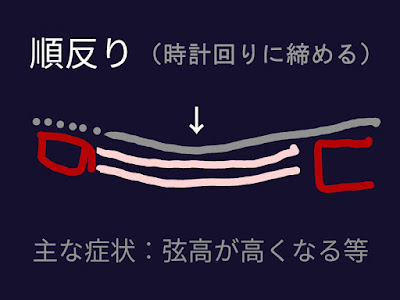 順反り