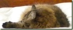 DSCN0273