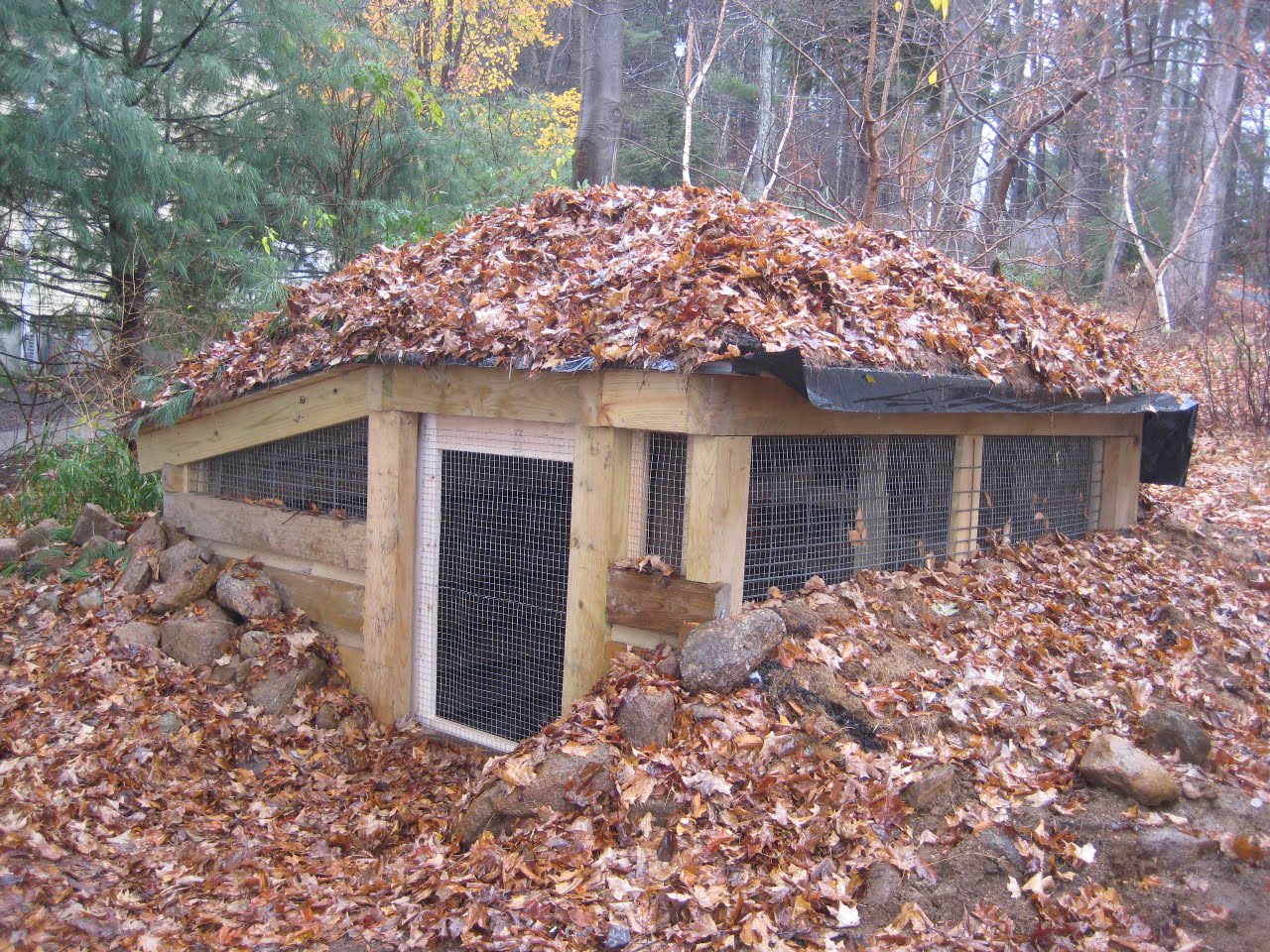 Chicken Co-op Shelter