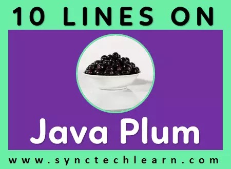 10 lines on java plum in english
