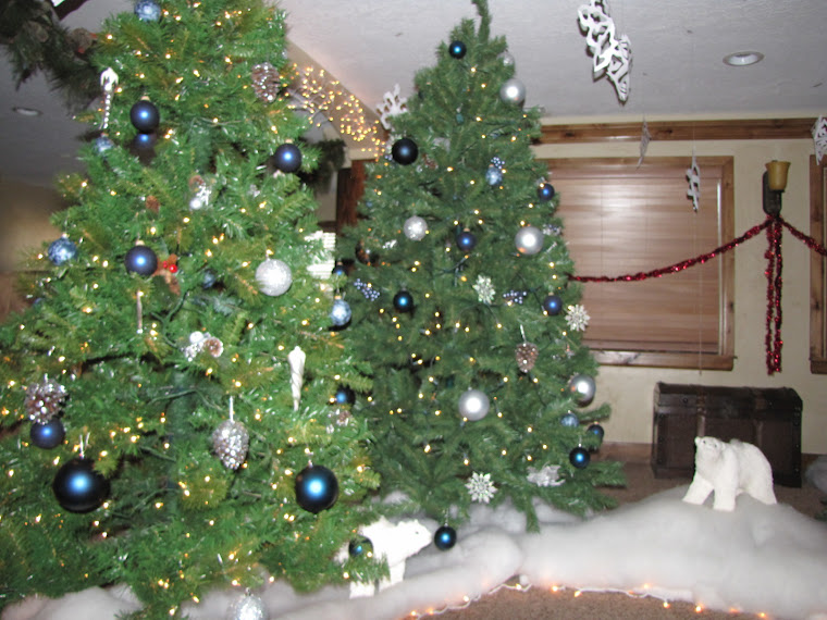 Christmas Experience/Romantic Walk